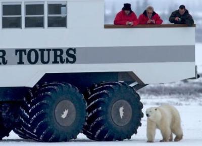 مقاله: لوژ توندرا قطب شمال کانادا (Tundra Lodge)